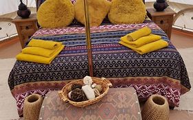 The Tent